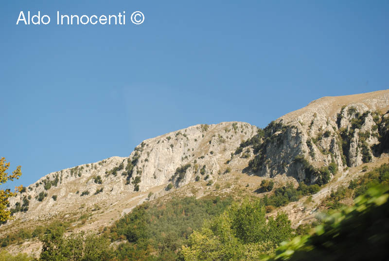 PALLEGGIO: IL MONTE PRATO FIORITO